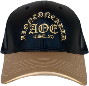 Trucker Hat (Black & Gold)